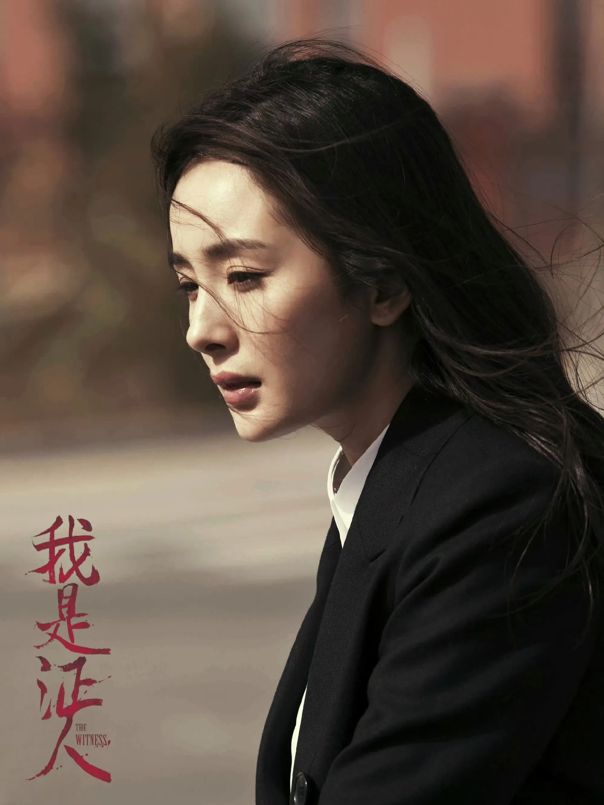 我是证人海报